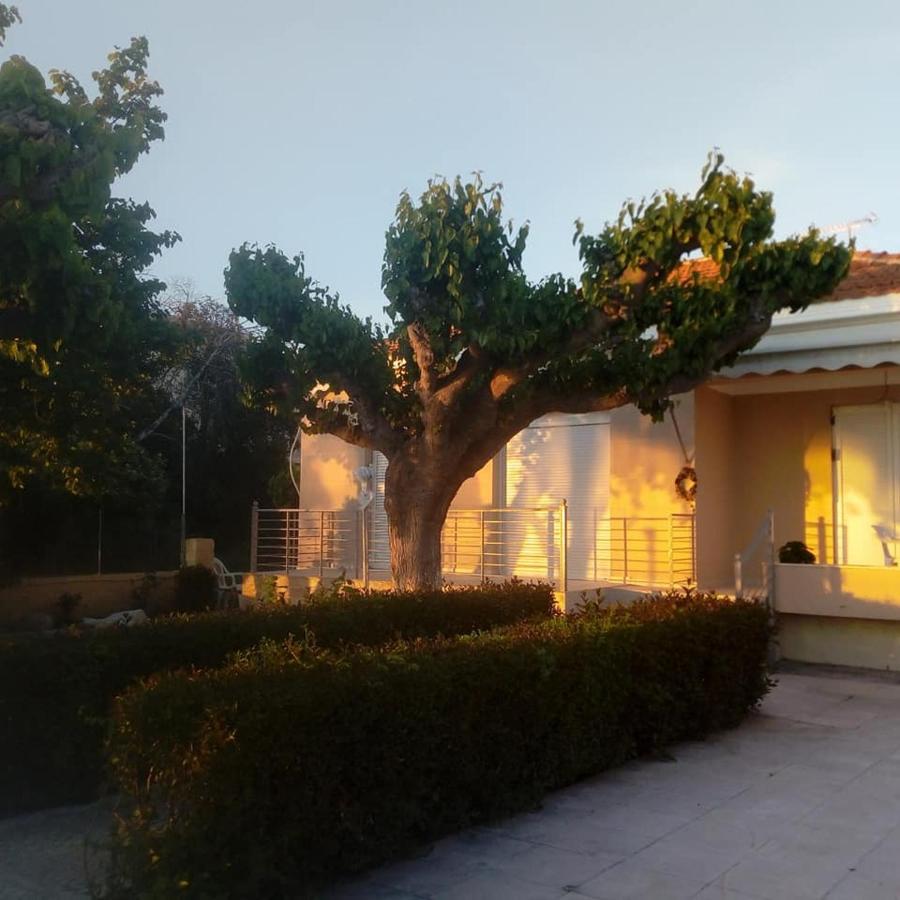 Mamanis Studios Loutra Edipsou  Exteriér fotografie