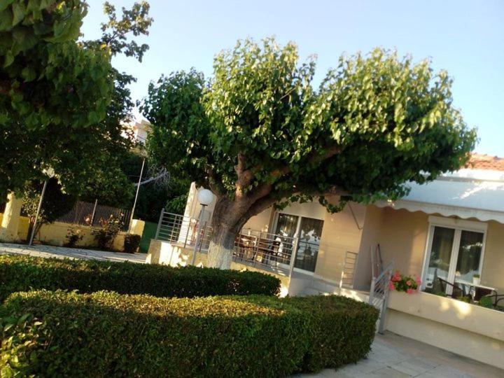 Mamanis Studios Loutra Edipsou  Exteriér fotografie